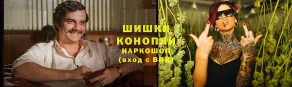 эйфоретик Гусь-Хрустальный
