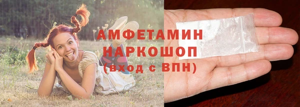 мдпв Гусев
