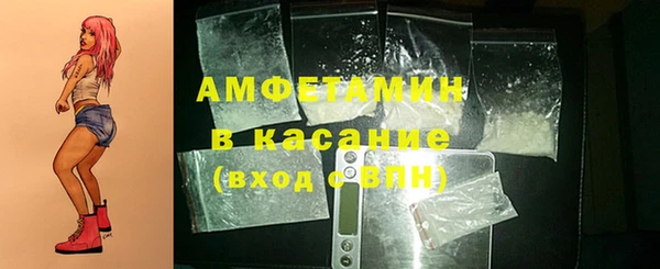 мдпв Гусев