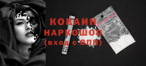 мдпв Гусев