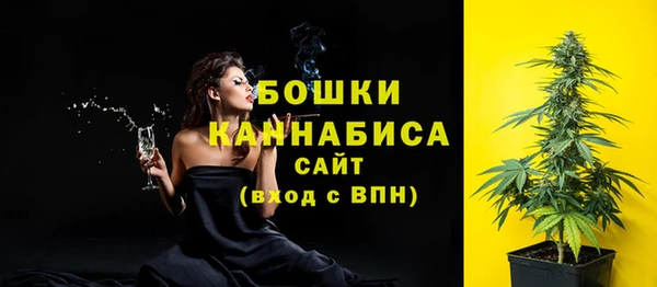 эйфоретик Гусь-Хрустальный