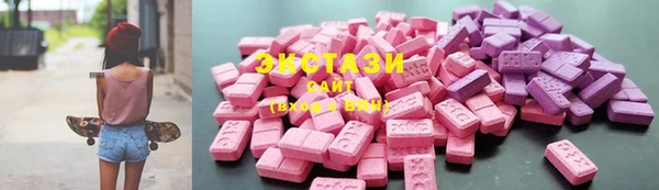 мдпв Гусев