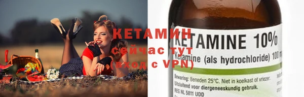 мдпв Гусев