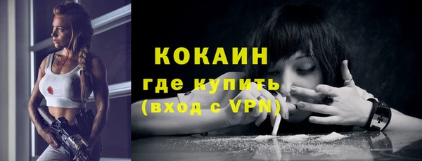 мдпв Гусев