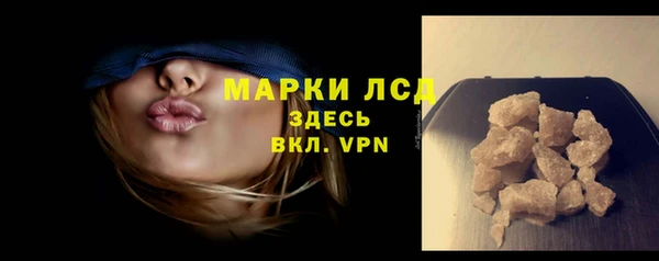 мдпв Гусев