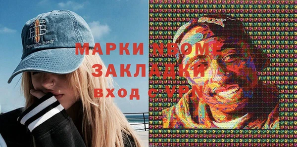 мдпв Гусев