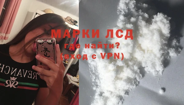 мдпв Гусев