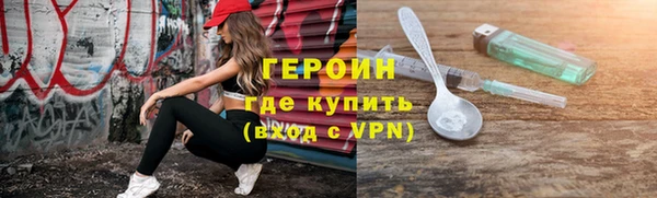 мдпв Гусев