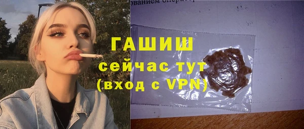эйфоретик Гусь-Хрустальный