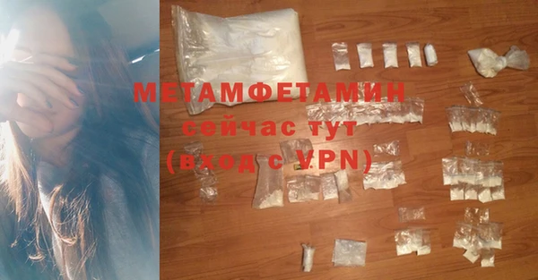 мдпв Гусев