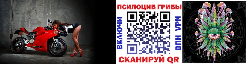 сайты даркнета какой сайт  Рыбинск  Псилоцибиновые грибы Psilocybe 